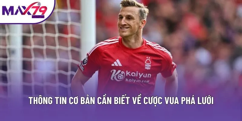 Thông tin cơ bản cần biết về cược vua phá lưới